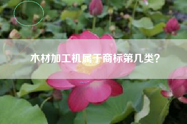 木材加工机属于商标第几类？