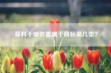 草料干燥装置属于商标第几类？