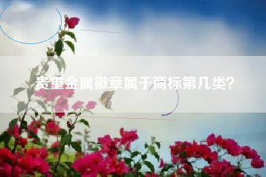 贵重金属徽章属于商标第几类？