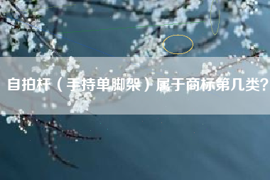 自拍杆（手持单脚架）属于商标第几类？