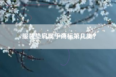 服装垫肩属于商标第几类？