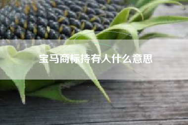 宝马商标持有人什么意思