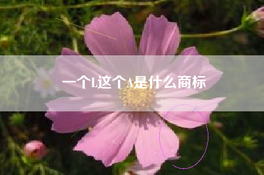 一个L这个A是什么商标