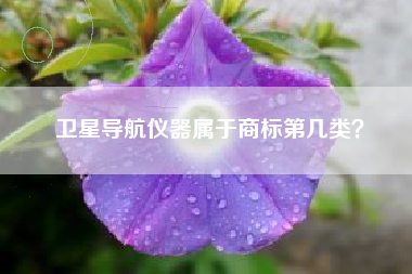 卫星导航仪器属于商标第几类？