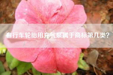 自行车轮胎用充气泵属于商标第几类？