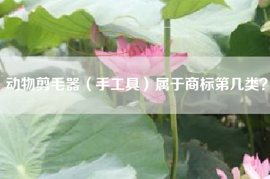 动物剪毛器（手工具）属于商标第几类？
