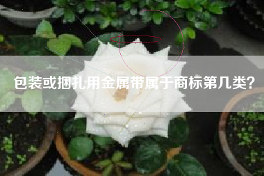 包装或捆扎用金属带属于商标第几类？