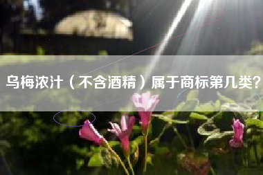 乌梅浓汁（不含酒精）属于商标第几类？
