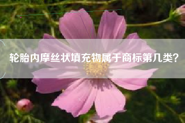 轮胎内摩丝状填充物属于商标第几类？