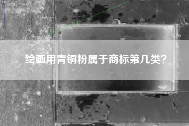 绘画用青铜粉属于商标第几类？