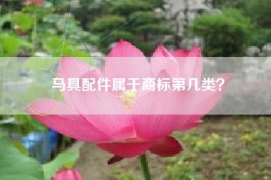 马具配件属于商标第几类？