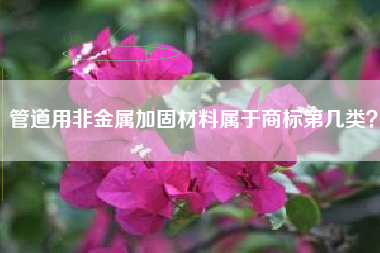 管道用非金属加固材料属于商标第几类？