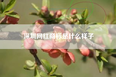 深圳网红商标是什么样子