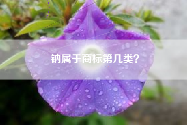 钠属于商标第几类？