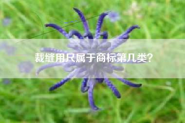 裁缝用尺属于商标第几类？