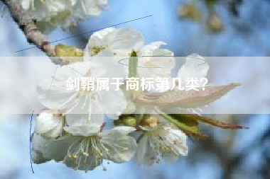 剑鞘属于商标第几类？