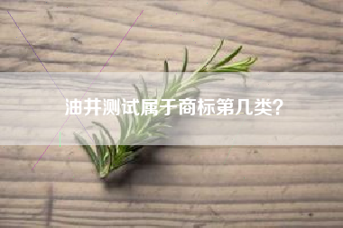 油井测试属于商标第几类？