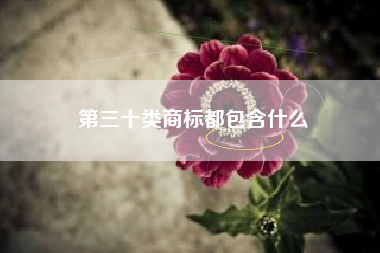 第三十类商标都包含什么