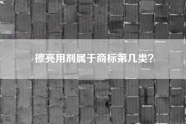 擦亮用剂属于商标第几类？