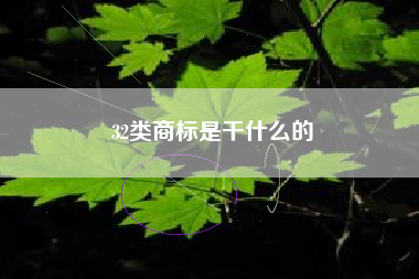 32类商标是干什么的