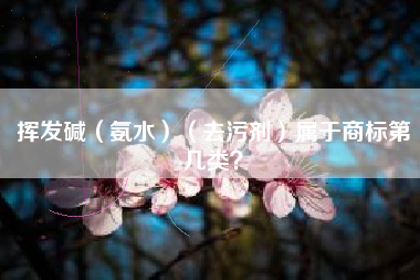 挥发碱（氨水）（去污剂）属于商标第几类？