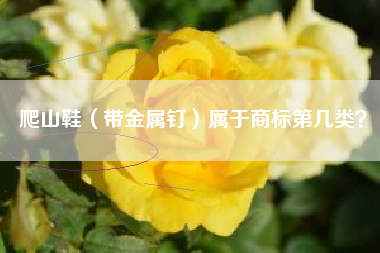 爬山鞋（带金属钉）属于商标第几类？