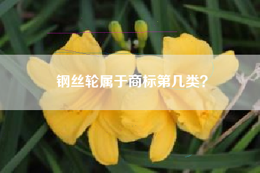 钢丝轮属于商标第几类？