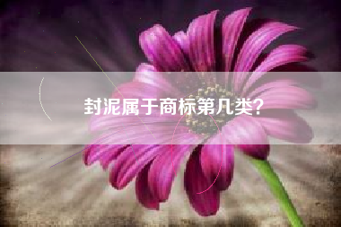 封泥属于商标第几类？