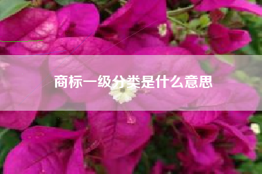 商标一级分类是什么意思