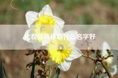 化妆品商标取什么名字好