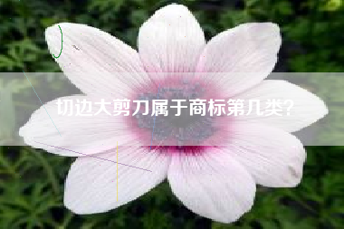 切边大剪刀属于商标第几类？