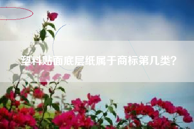 塑料贴面底层纸属于商标第几类？