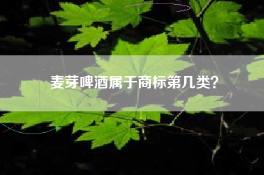 麦芽啤酒属于商标第几类？