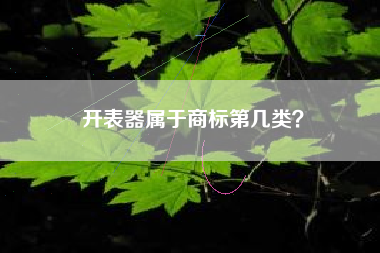 开表器属于商标第几类？