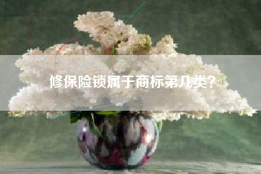 修保险锁属于商标第几类？