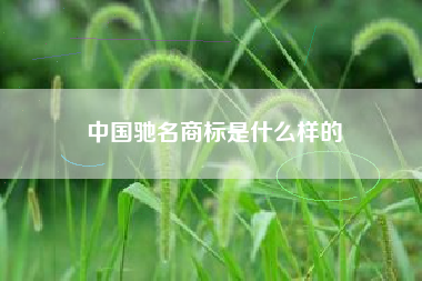 中国驰名商标是什么样的