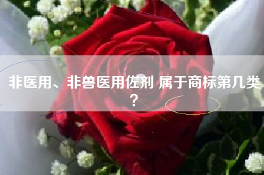非医用、非兽医用佐剂 属于商标第几类？