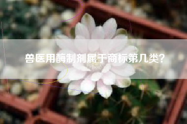 兽医用酶制剂属于商标第几类？