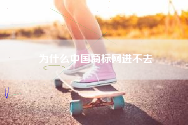 为什么中国商标网进不去