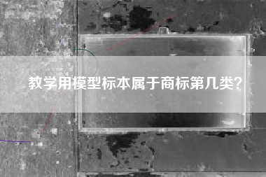 教学用模型标本属于商标第几类？