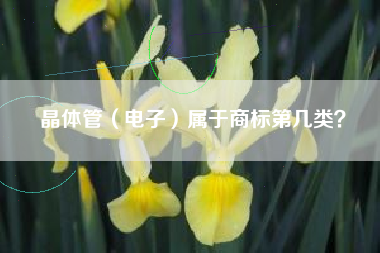晶体管（电子）属于商标第几类？