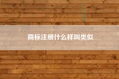 商标注册什么样叫类似