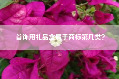 首饰用礼品盒属于商标第几类？