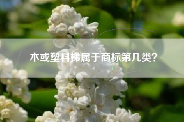 木或塑料梯属于商标第几类？