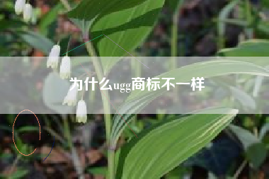 为什么ugg商标不一样