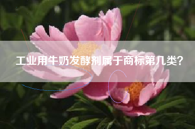 工业用牛奶发酵剂属于商标第几类？