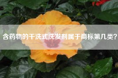 含药物的干洗式洗发剂属于商标第几类？