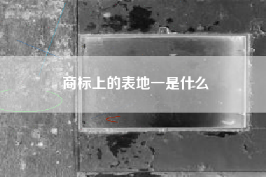 商标上的表地一是什么