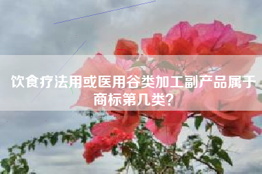 饮食疗法用或医用谷类加工副产品属于商标第几类？