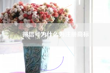 微信号为什么为注册商标